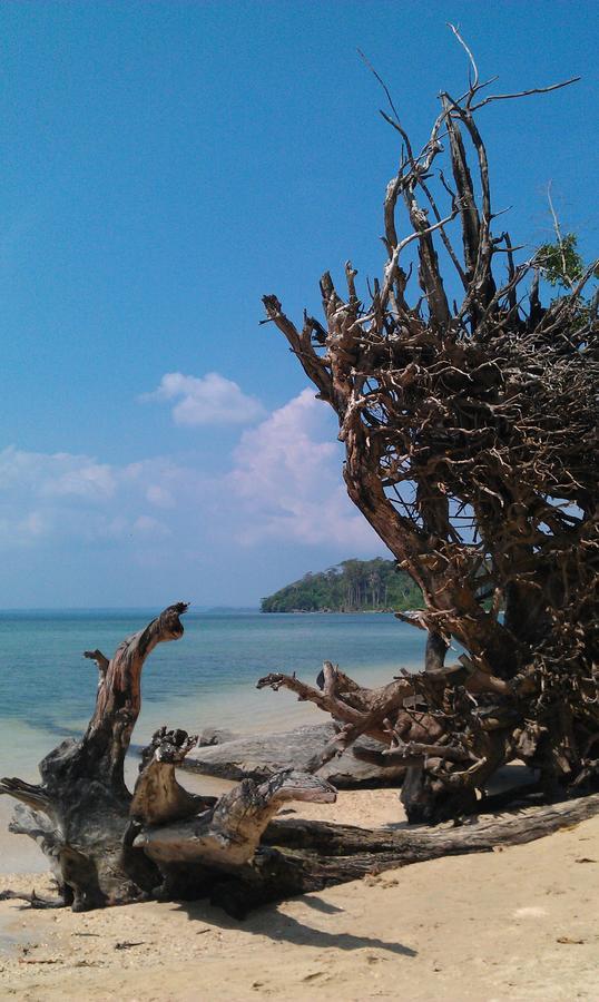 Pellicon Beach Resort Havelock island Dış mekan fotoğraf