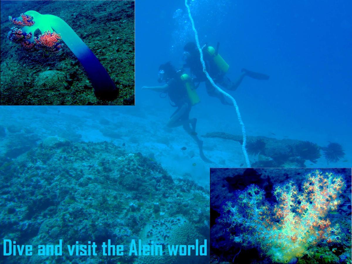 Pellicon Beach Resort Havelock island Dış mekan fotoğraf